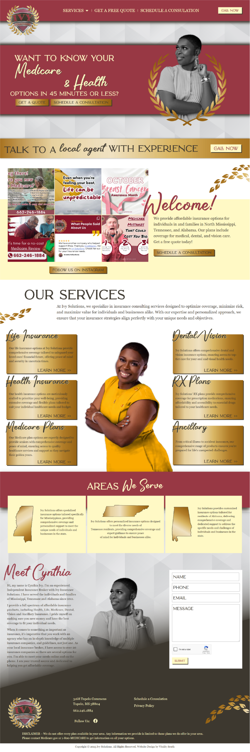 Ivy Solutions Mockup Large