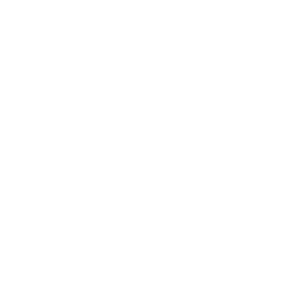 Wire Safe Solutions Logo White