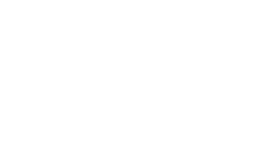 Business Networking International Logo White
