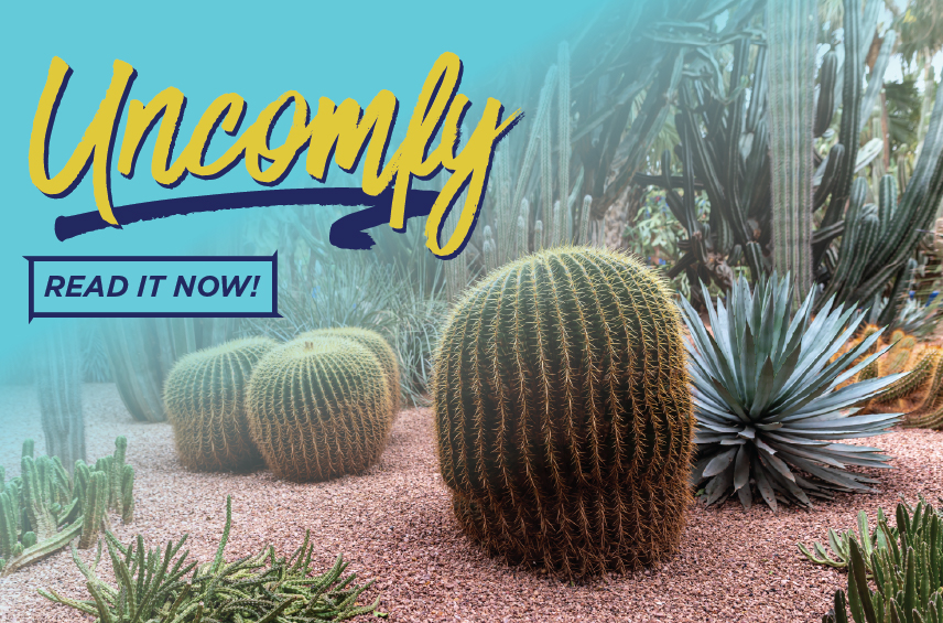 Blog post graphic featuring various types of prickly cacti including a large barrel cactus in a desert garden setting Overlaid text reads Uncomfy with a READ IT NOW button below it on the left
